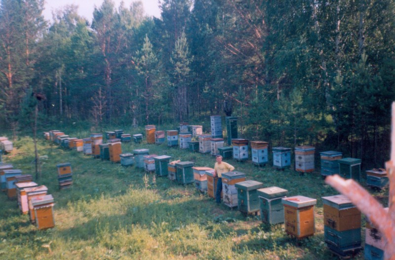 пасека Шарагун-Хандагай