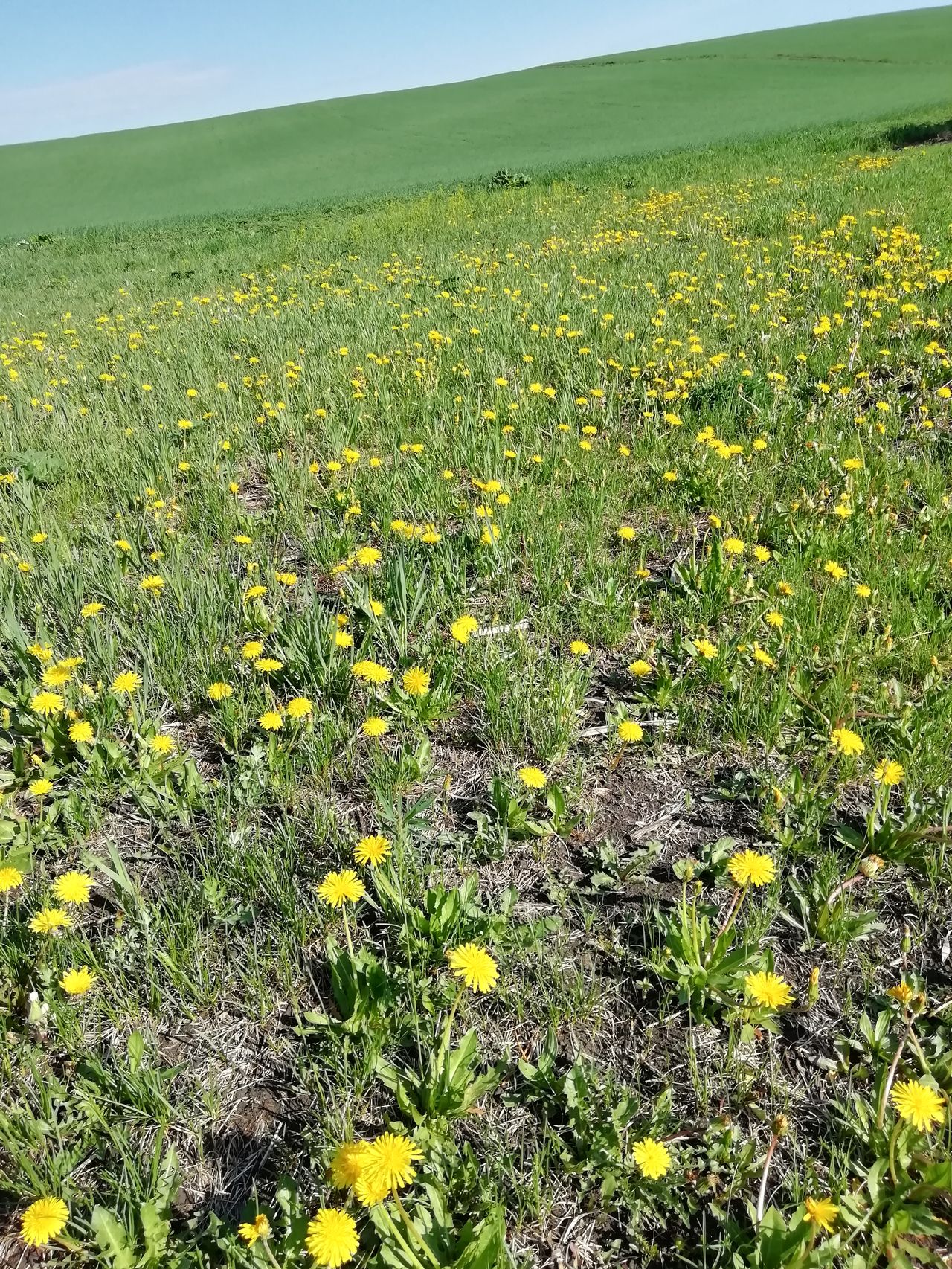 Пасека Черепановых март 2019